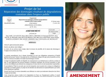 Collectivités victimes de dégradation : mon amendement adopté pour rendre les sanctions plus adaptées !