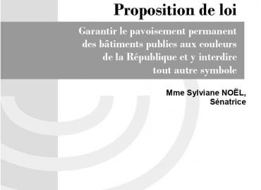 J'ai déposé une proposition de loi afin d'interdire le pavoisement des drapeaux étrangers sur les mairies